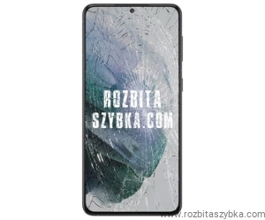 Wymiana wyświetlacza z ekranem dotykowym oryginał Samsung S21 FE